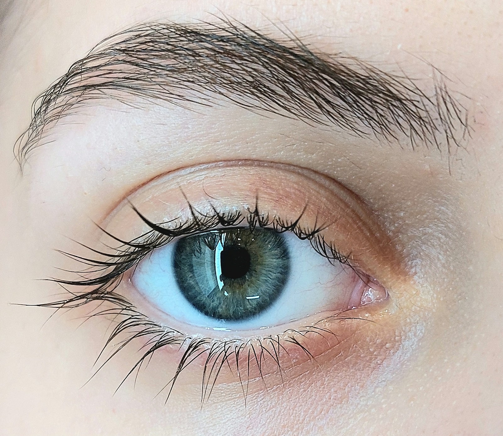 Close-up of a cleanly shaped brow